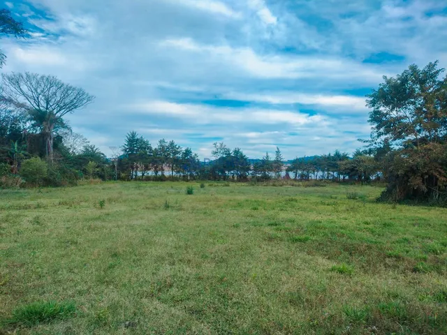 Imagem 8: SITIO RURAL em ALFENAS - MG, BEIRADA DA RODOVIA