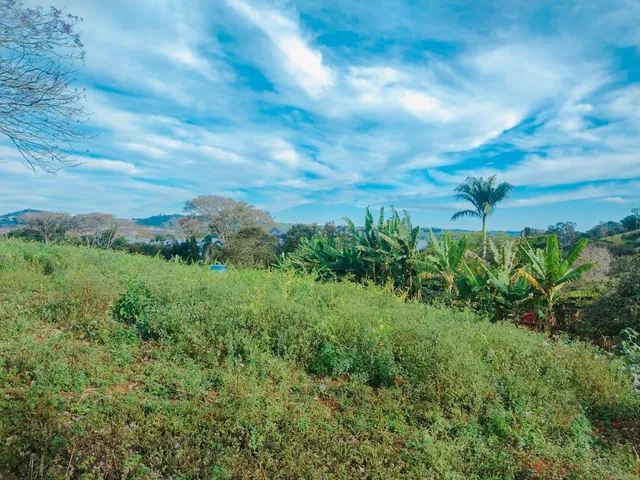Imagem 15: SITIO RURAL em ALFENAS - MG, BEIRADA DA RODOVIA