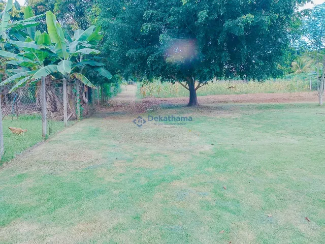 Imagem 3: CHACARA RURAL em ALFENAS - MG, ESTRADA DE FAMA