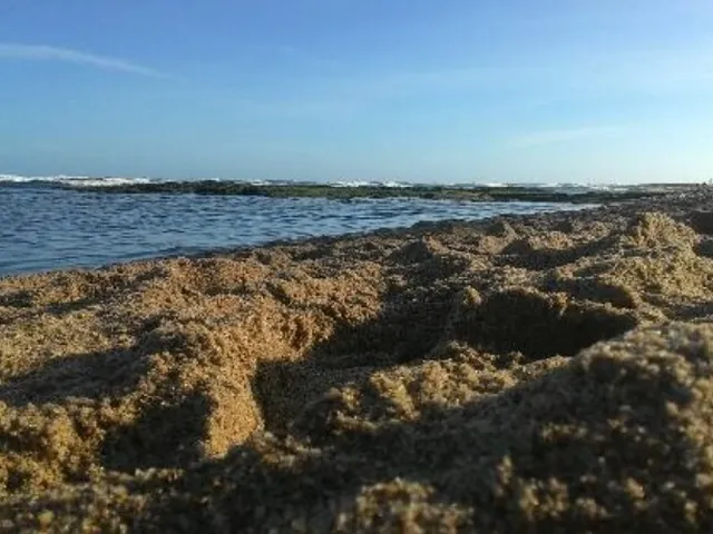 Imagem 12: CASA RESIDENCIAL em LAURO DE FREITAS - BA, IPITANGA