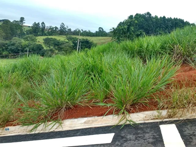 Imagem: TERRENO RESIDENCIAL em Alterosa - MG, Parque