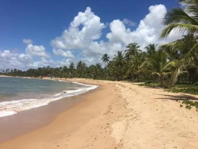 Imagem 5: CASA RESIDENCIAL em Camaçari - BA, Busca Vida