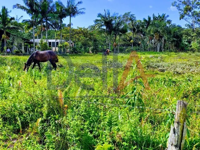 Imagem 3: Terreno Industrial em Balneário Barra do Sul - Sc, Salinas