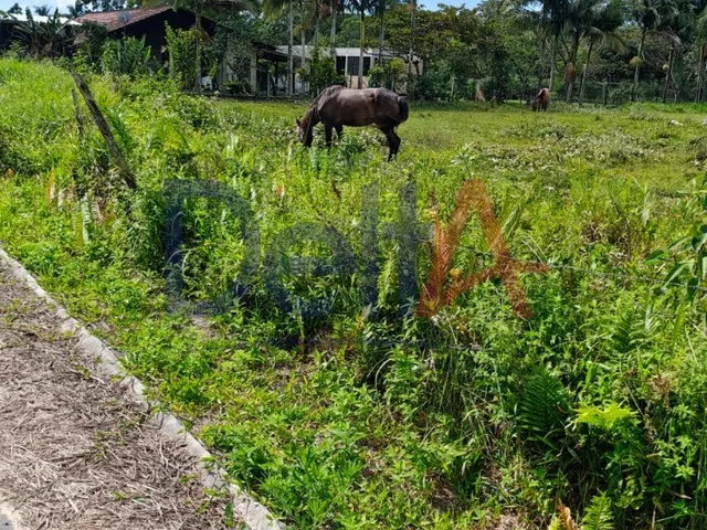 Imagem 5: Terreno Industrial em Balneário Barra do Sul - Sc, Salinas