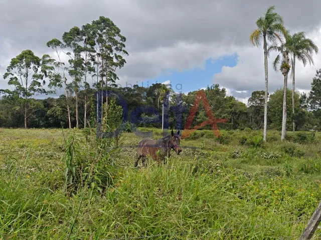 Imagem 10: Terreno Industrial em Balneário Barra do Sul - Sc, Salinas