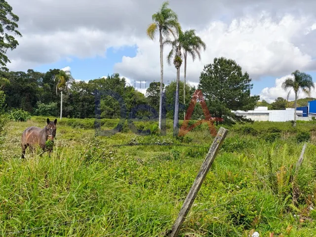 Imagem 11: Terreno Industrial em Balneário Barra do Sul - Sc, Salinas