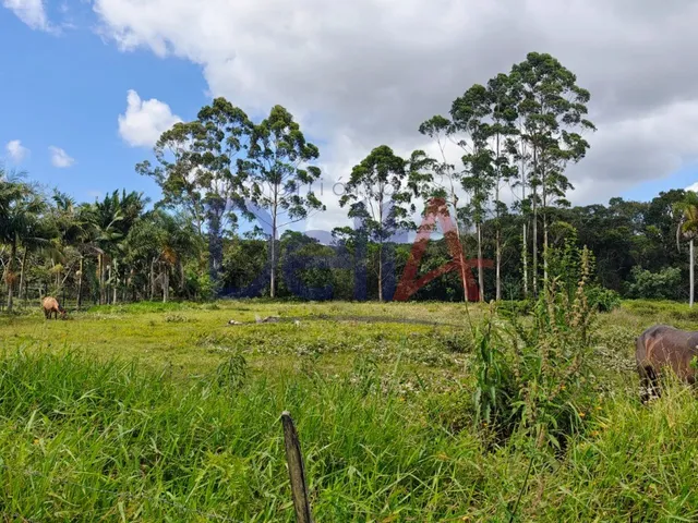 Imagem 14: Terreno Industrial em Balneário Barra do Sul - Sc, Salinas