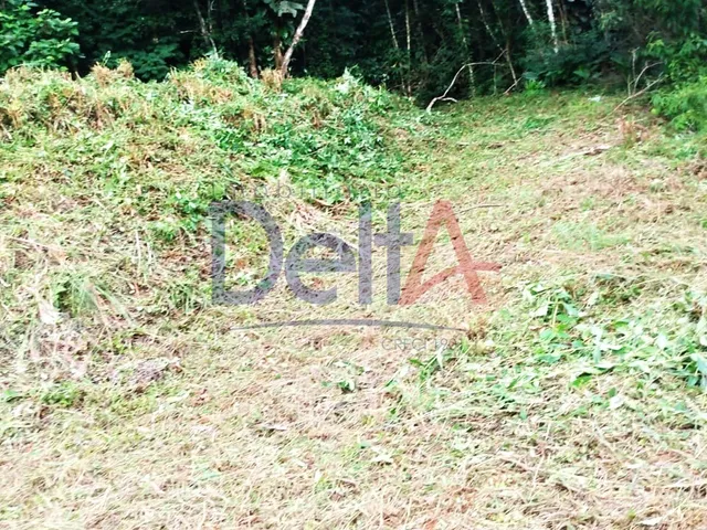 Imagem 5: Terreno Residencial em Joinville - Sc, Glória