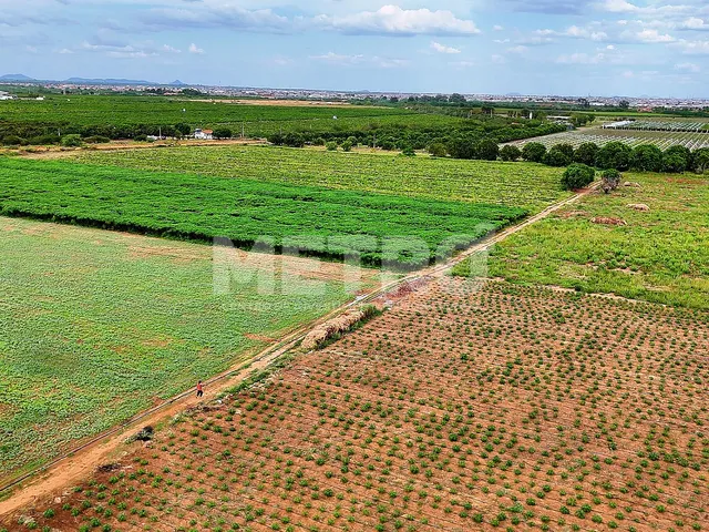 Imagem: Fazenda com 116ha, Casa, Galpão, 25ha plantados