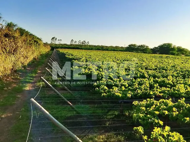 Imagem: Fazenda de com 20 hectares produzindo e