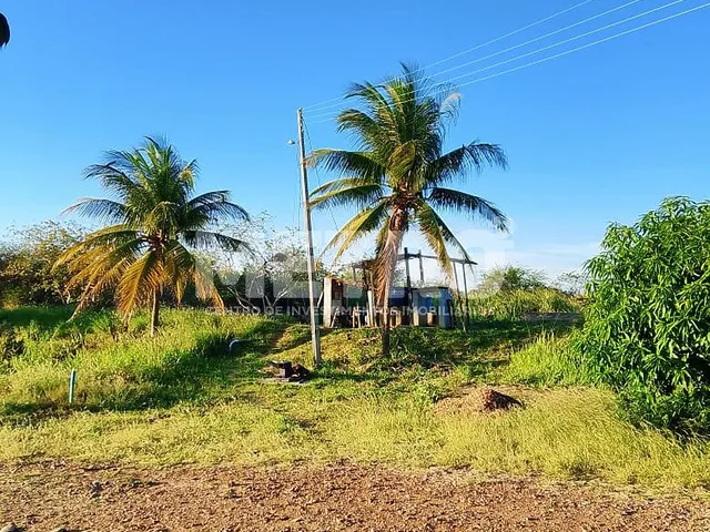 Imagem 4: Fazenda de com 20 hectares produzindo e com Infraestrutura, CASA NOVA - BA