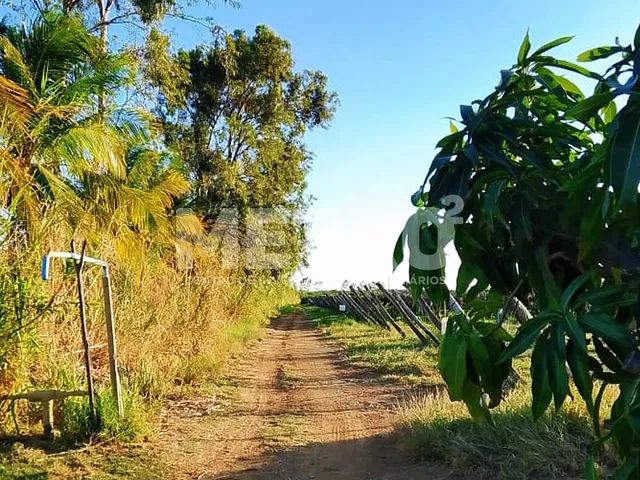Imagem 7: Fazenda de com 20 hectares produzindo e com Infraestrutura, CASA NOVA - BA