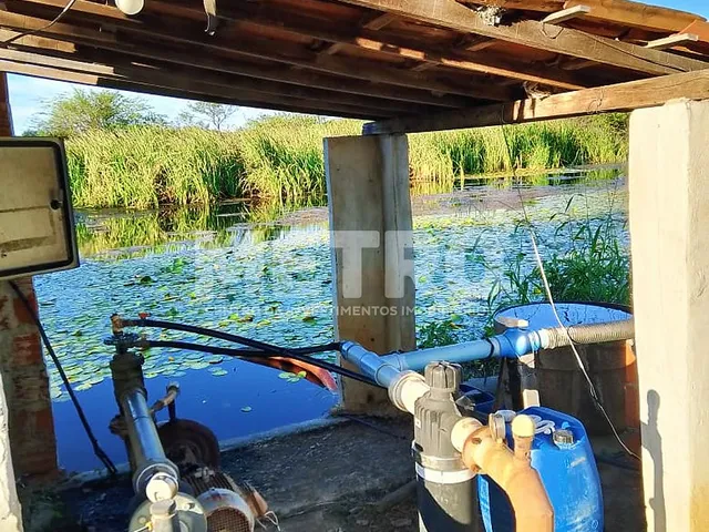 Imagem 10: Fazenda de com 20 hectares produzindo e com Infraestrutura, CASA NOVA - BA