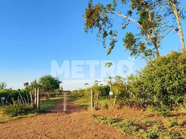 Imagem 13: Fazenda de com 20 hectares produzindo e com Infraestrutura, CASA NOVA - BA