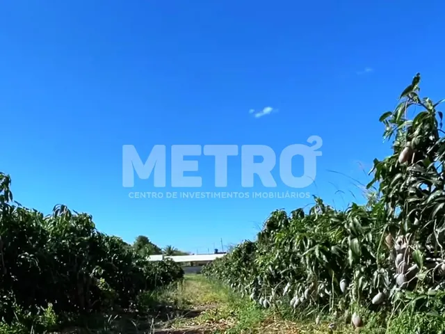 Imagem 7: Área Beira de Rio à venda com 34ha, casa, 2 tanques criação de peixes, Petrolina