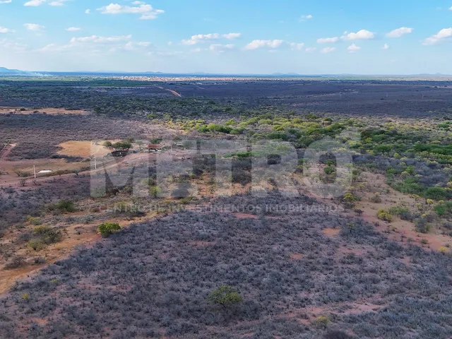 Imagem 9: Área Rural à venda com 600ha em Curaçá-BA