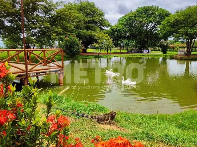 Imagem: Terreno à venda no Con. Assunção de Maria