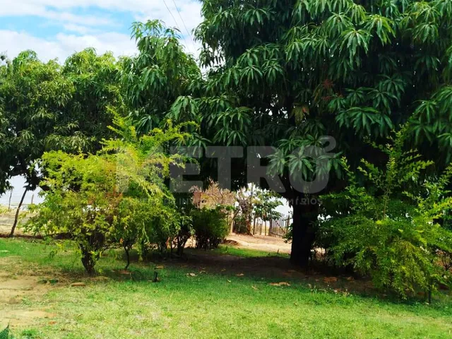 Imagem 12: Chácara á venda na Estrada da Tapera, beira rio, piscina, casa mobiliada