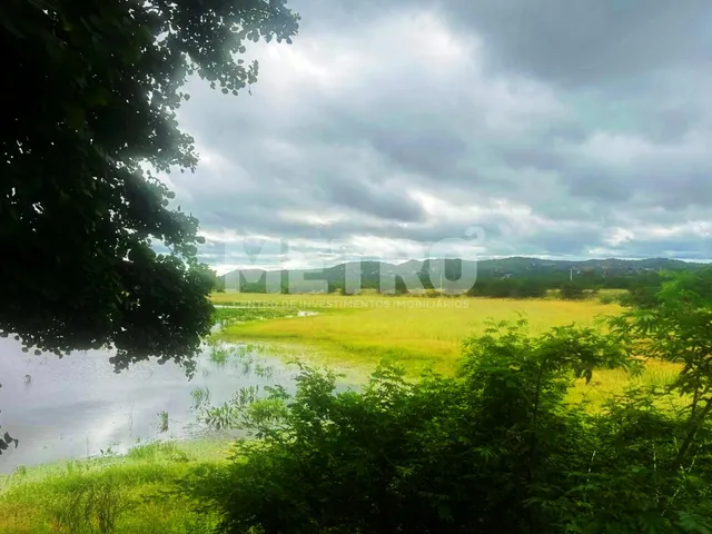 Imagem 4: Área Rural documentada à venda, 136 hectares, próximo ao Capim, Petrolina