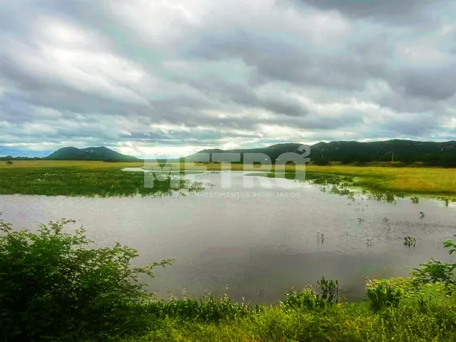 Imagem 5: Área Rural documentada à venda, 136 hectares, próximo ao Capim, Petrolina