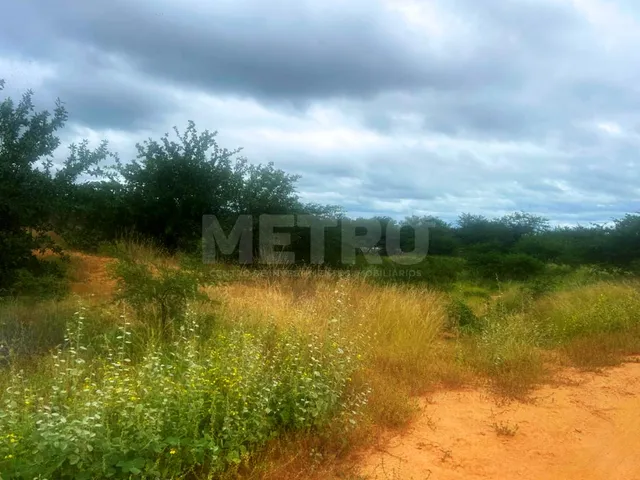 Imagem 8: Área Rural documentada à venda, 136 hectares, próximo ao Capim, Petrolina