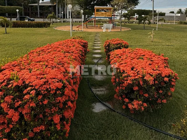 Imagem 7: Terreno à venda no Cond. Brisas do Rio, 18,24m x 24,33m, 462m, Petrolina-PE