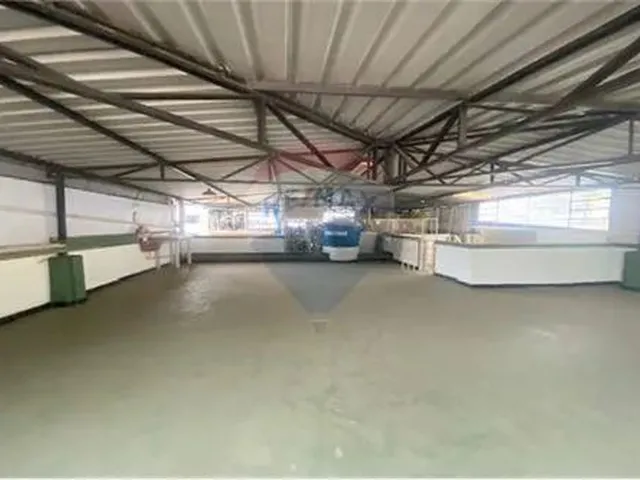 Imagem 10: Espaçoso Apartamento de 3 Quartos com Terraço Coberto em Localização Privilegiada