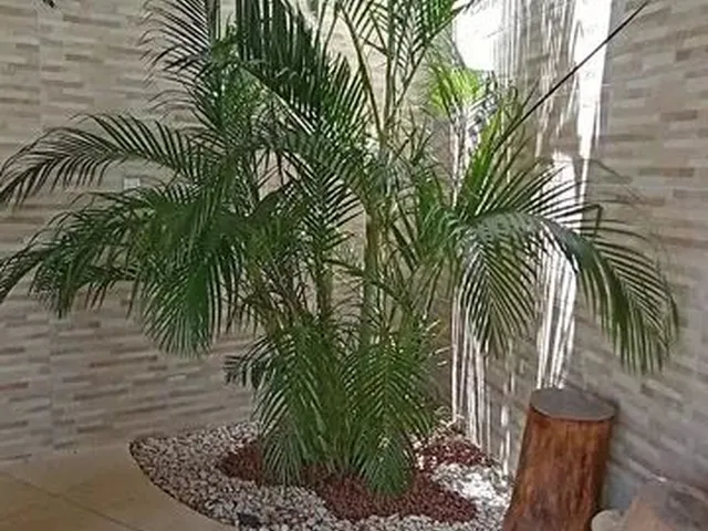 Imagem 9: Casa de Praia no Matapoã