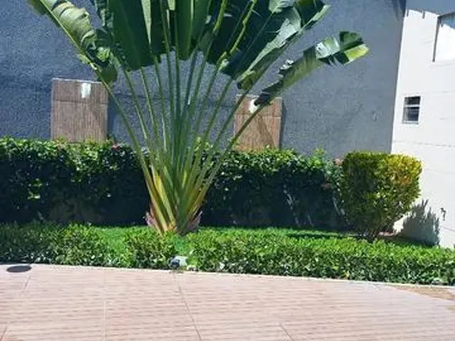 Imagem 15: Casa de Praia no Matapoã