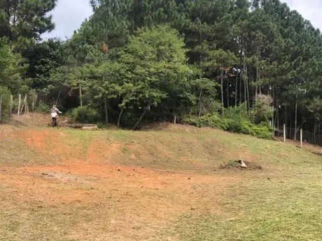 Imagem 12: Excelente Terreno - Oportunidade!