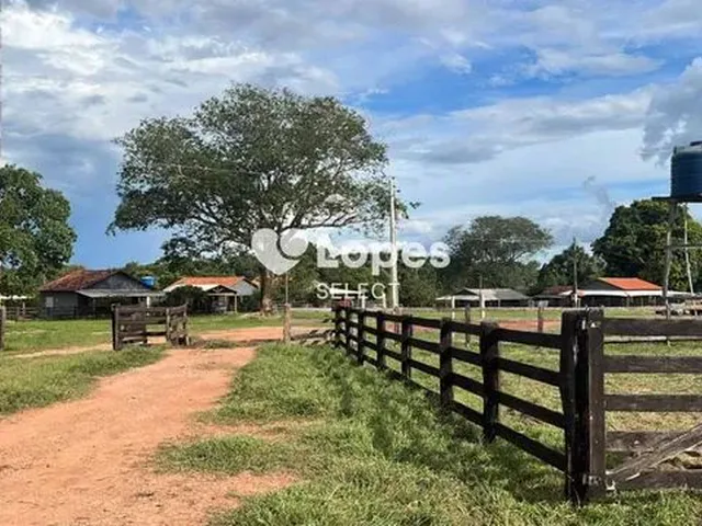 Imagem: Fazenda 5.200 Hectares, Barra do Garças-Mt