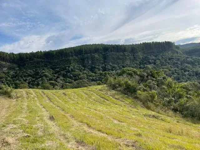 Imagem: A chácara possui 50.000m² de Área e está localizado em