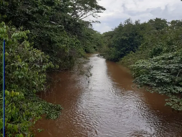 Imagem: Fazenda à venda em Arinos-MG e Chapada