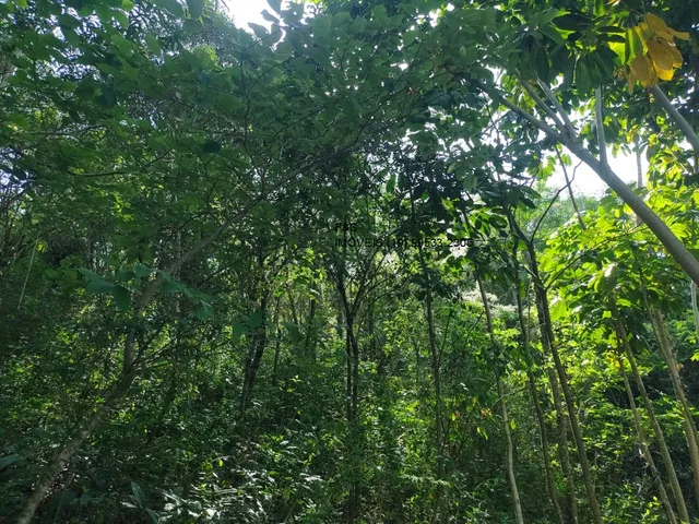 Imagem 11: Terreno À Venda em Valinhos-Sp, no Bairro Vale Verde, com 2.200,00 M² de Área Disponível!