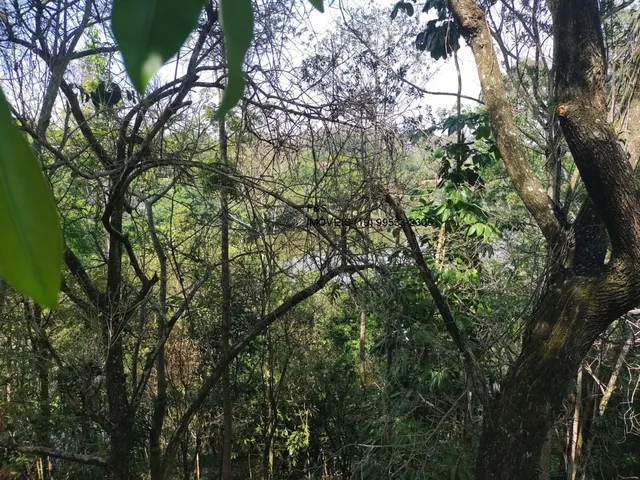 Imagem 7: Terreno À Venda em Valinhos-Sp, no Bairro Vale Verde, com 2.200,00 M² de Área Disponível!