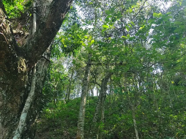 Imagem 3: Terreno À Venda em Valinhos-Sp, no Bairro Vale Verde, com 2.200,00 M² de Área Disponível!