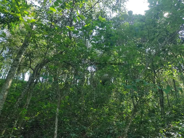 Imagem 16: Terreno À Venda em Valinhos-Sp, no Bairro Vale Verde, com 2.200,00 M² de Área Disponível!