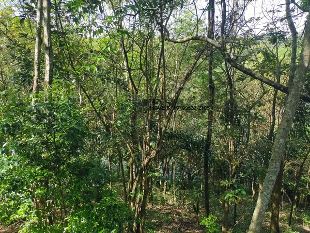 Imagem 8: Terreno À Venda em Valinhos-Sp, no Bairro Vale Verde, com 2.200,00 M² de Área Disponível!
