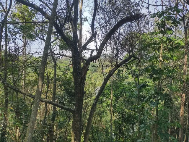 Imagem 14: Terreno À Venda em Valinhos-Sp, no Bairro Vale Verde, com 2.200,00 M² de Área Disponível!