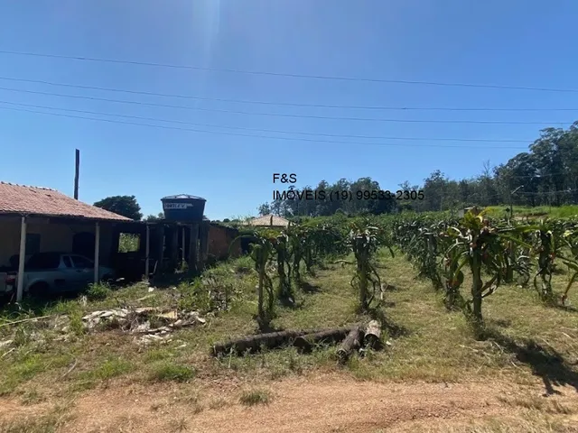 Imagem 7: Sitio, 51.000 M², Reforma Agraria - Valinhos/Sp