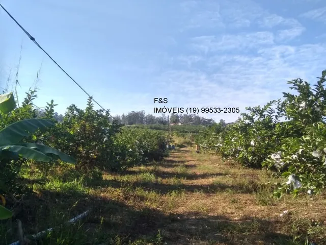 Imagem 12: Sitio, 51.000 M², Reforma Agraria - Valinhos/Sp