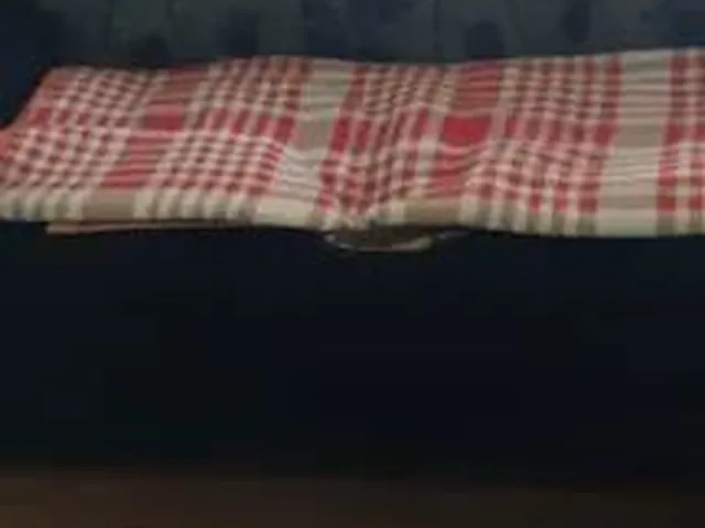 Imagem 5: Aluga-Se Casa em Araucária
