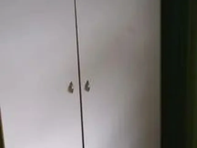 Imagem 2: Aluga-Se Casa em Araucária