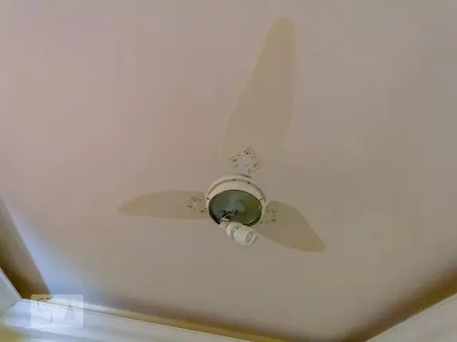 Imagem 12: Casa para Aluguel - Setor Oeste, 3 Quartos, 300 M2