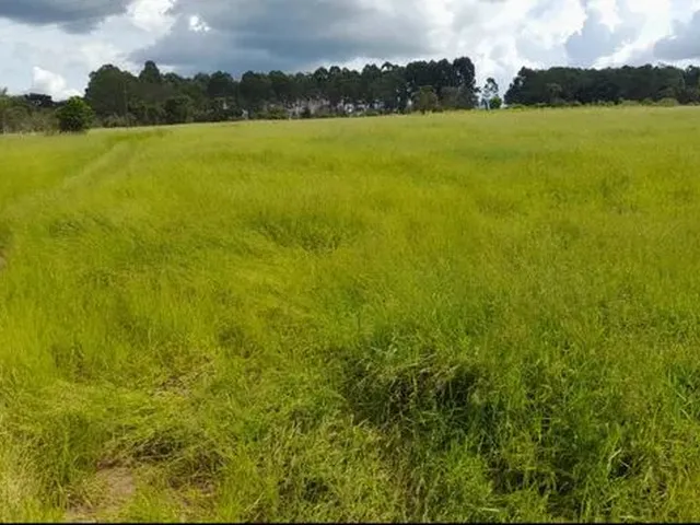 Imagem: Sítio Ótimo Investimento, Casa Boa, Formado