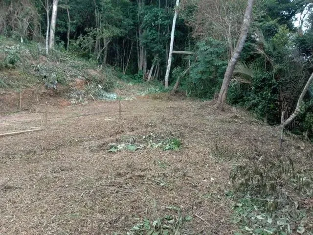 Imagem: Oportunidade Sítio - 8.325M² - Miracatu/Sp