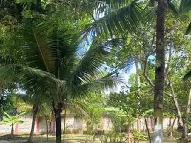 Imagem 5: Chácara no Povoado Timbó em São Cristóvão, Próximo À Barragem do Rio Poxim!