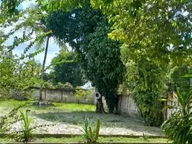 Imagem 6: Chácara no Povoado Timbó em São Cristóvão, Próximo À Barragem do Rio Poxim!