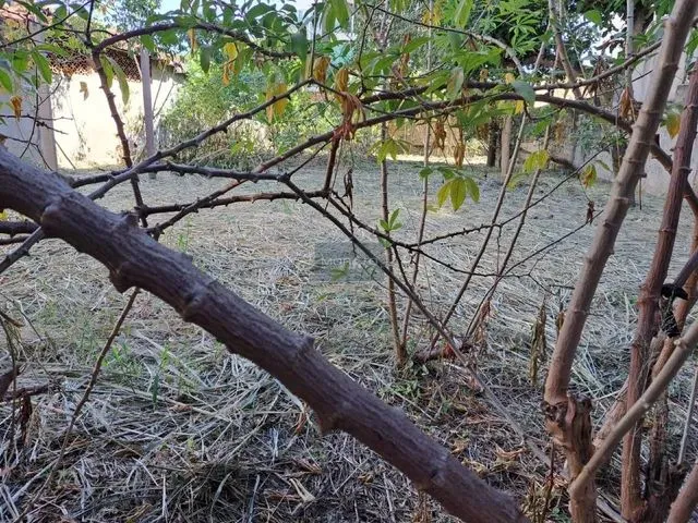 Imagem: Lote À Venda, Castelo - Belo Horizonte/Mg