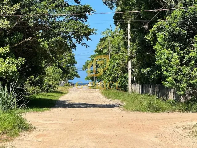 Imagem 2: Ampla casa com quintal e edícula apenas 250m do mar